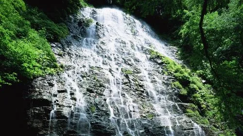 高端高标准